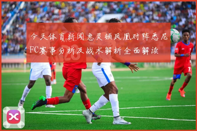 今天体育新闻惠灵顿凤凰对阵悉尼FC赛事分析及战术解析全面解读